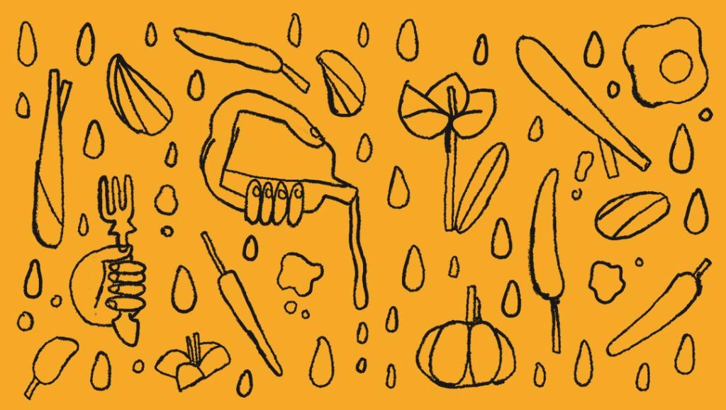 crush illustration rebrand by graphics team at production bureau