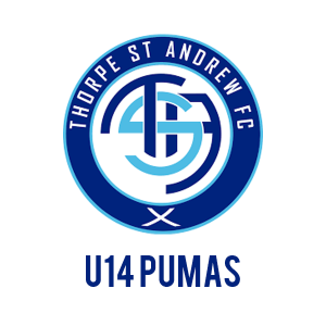 u14 puma football