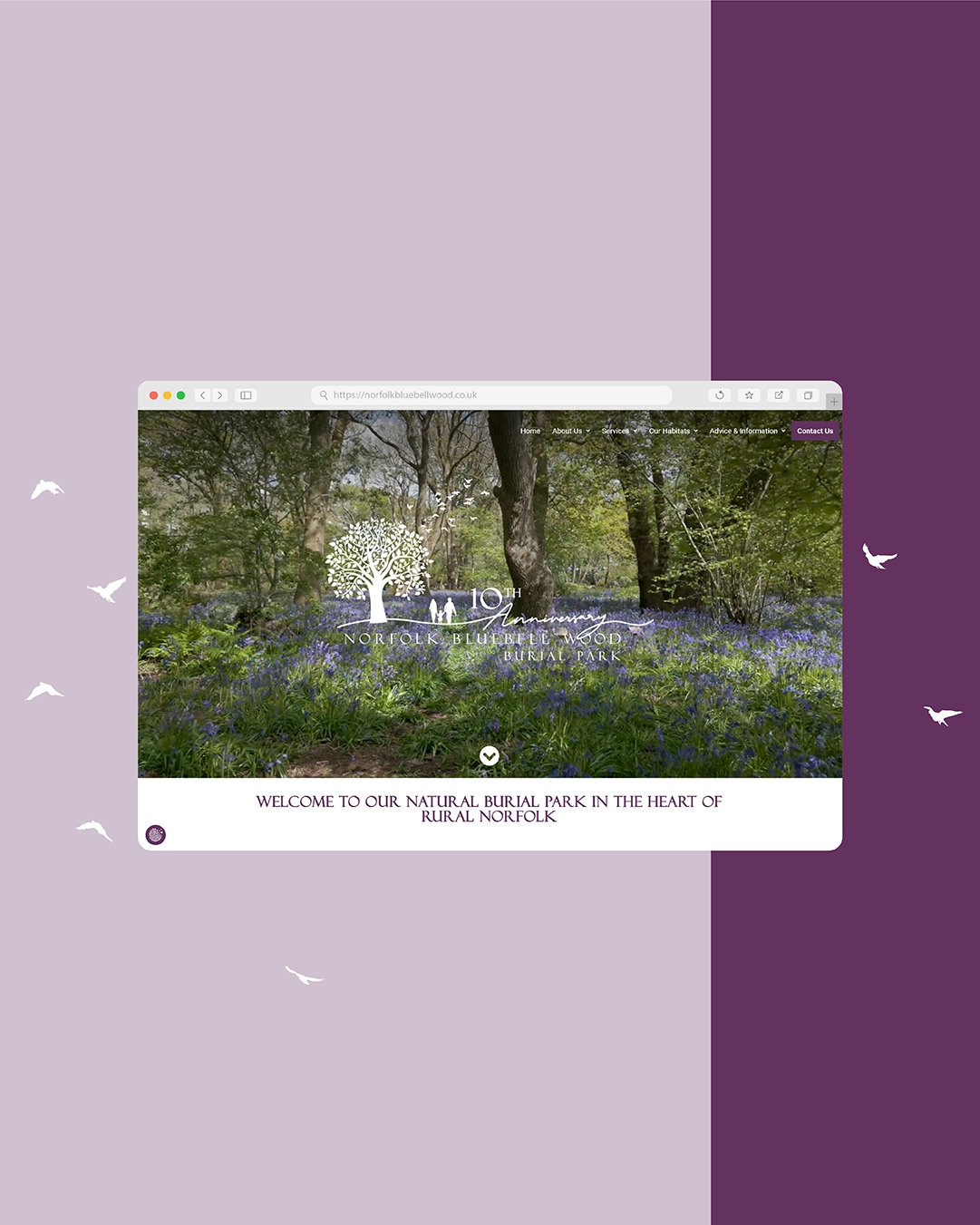 Norfolk Bluebell Wood Burial Park Case Study Production bureau Pb Studio