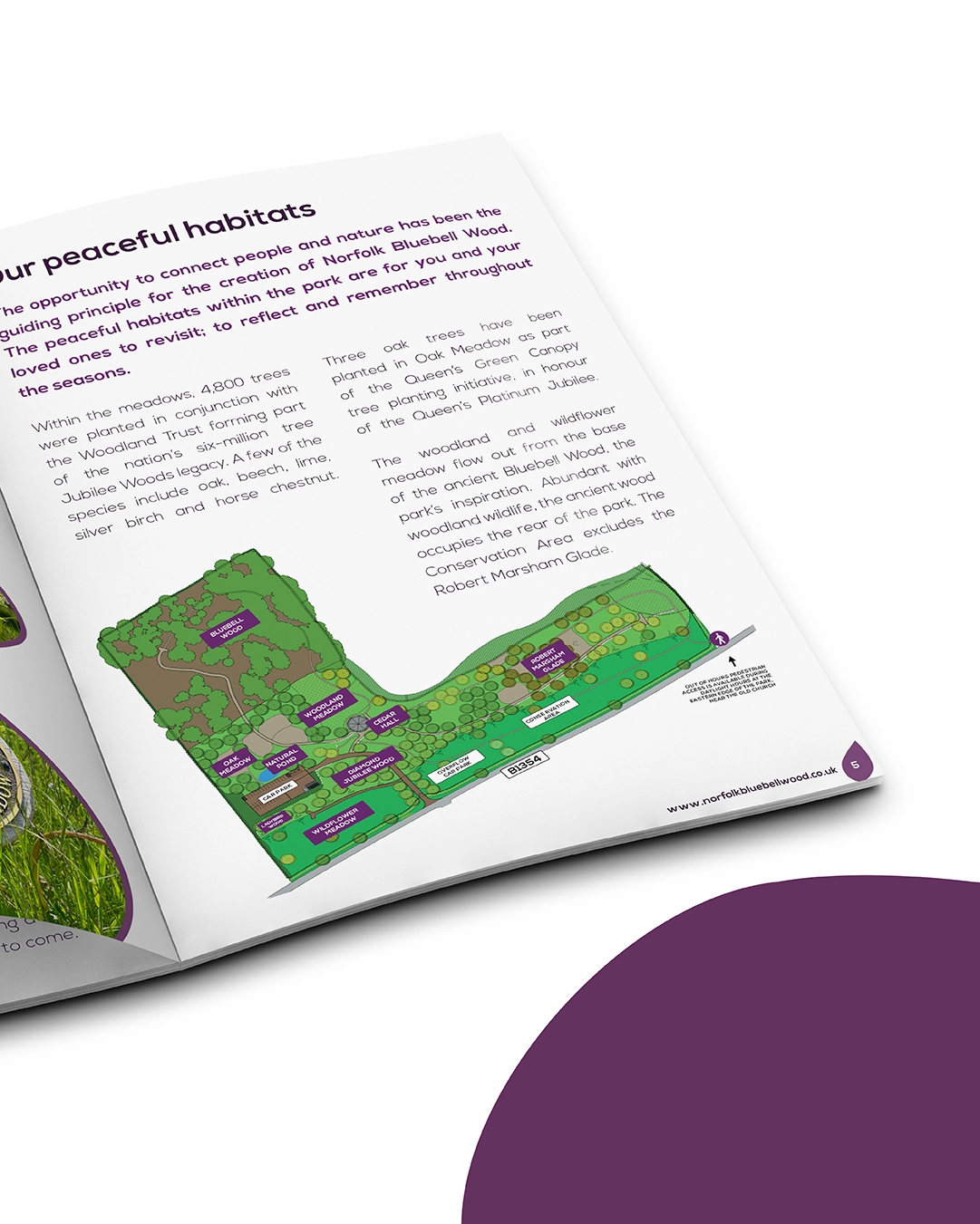 Norfolk Bluebell Wood Burial Park Case Study Production bureau Pb Studio