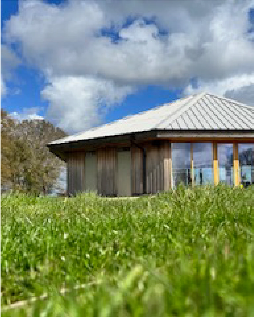 Norfolk Bluebell Wood Burial Park Case Study Production bureau Pb Studio
