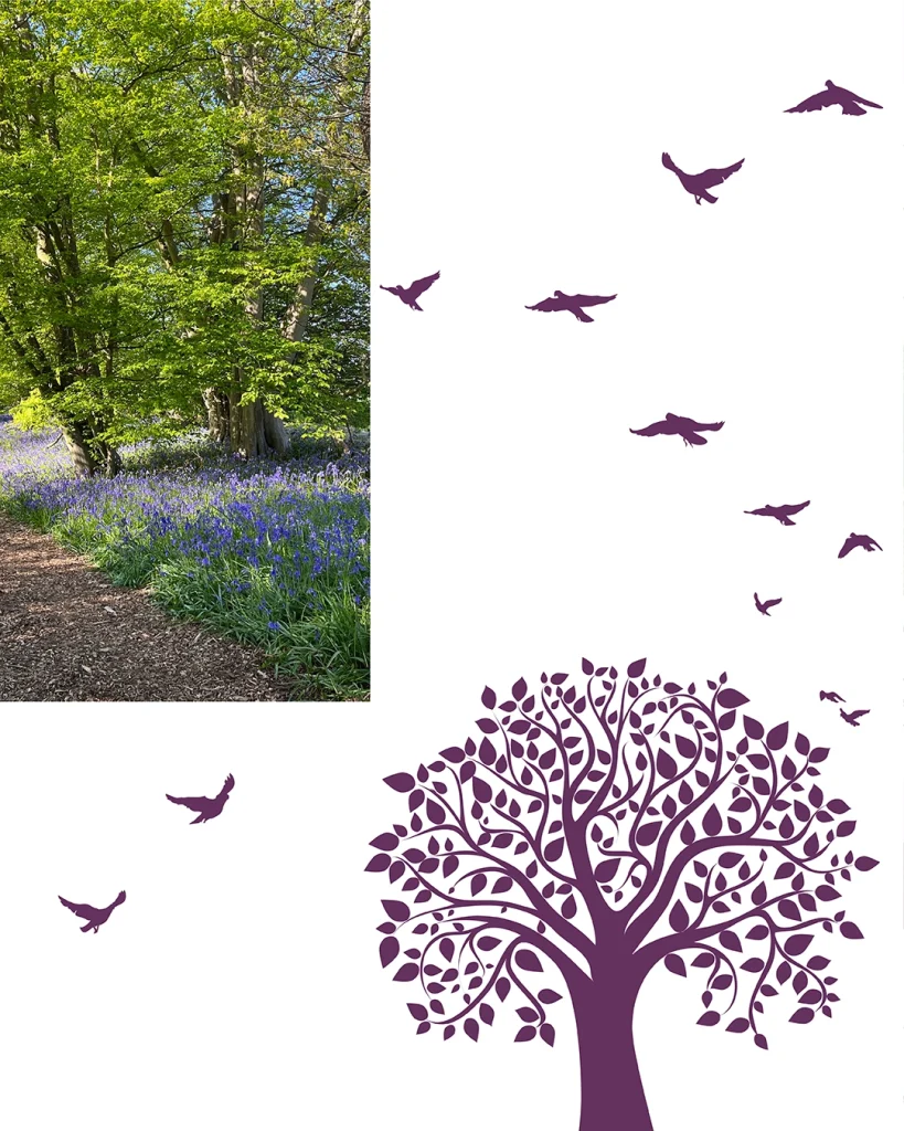 Norfolk Bluebell Wood Burial Park Case Study Production bureau Pb Studio